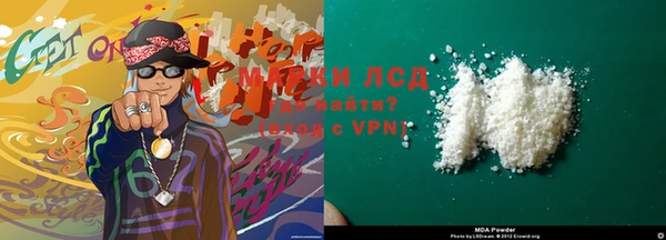 прущие грибы Бронницы