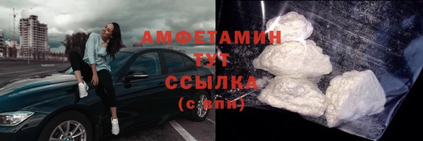 прущие грибы Бронницы