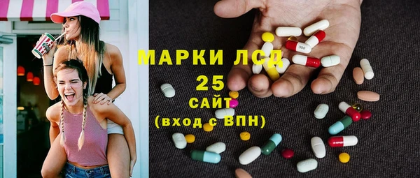 прущие грибы Бронницы