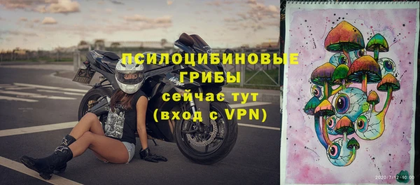 ГАЛЛЮЦИНОГЕННЫЕ ГРИБЫ Богданович