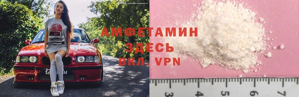 прущие грибы Бронницы