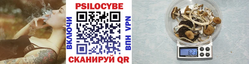 где продают наркотики  Рязань  Псилоцибиновые грибы Magic Shrooms 